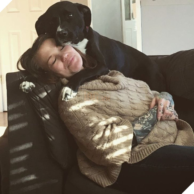 20 hình ảnh cho thấy tình yêu thương không phân biệt giống loài và nó khiến cho bạn cảm thấy hạnh phúc 11