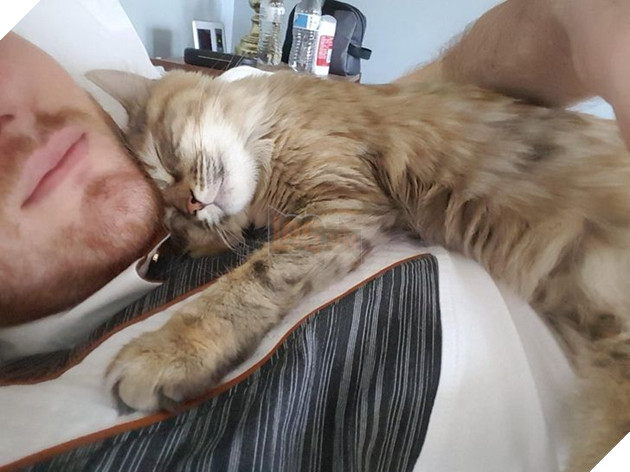 20 hình ảnh cho thấy tình yêu thương không phân biệt giống loài và nó khiến cho bạn cảm thấy hạnh phúc 13