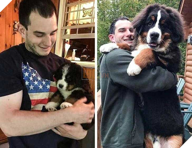 20 hình ảnh cho thấy tình yêu thương không phân biệt giống loài và nó khiến cho bạn cảm thấy hạnh phúc 14