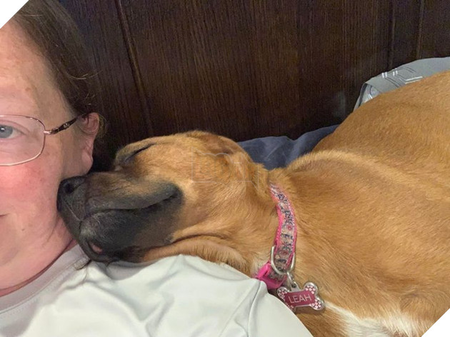 20 hình ảnh cho thấy tình yêu thương không phân biệt giống loài và nó khiến cho bạn cảm thấy hạnh phúc 16