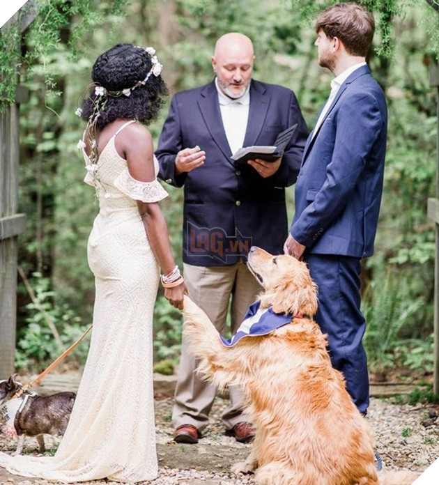 20 hình ảnh cho thấy tình yêu thương không phân biệt giống loài và nó khiến cho bạn cảm thấy hạnh phúc 2