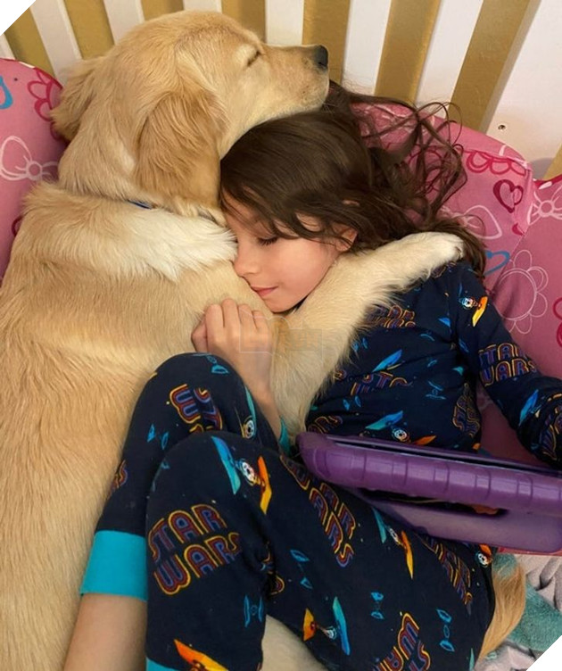 20 hình ảnh cho thấy tình yêu thương không phân biệt giống loài và nó khiến cho bạn cảm thấy hạnh phúc 3