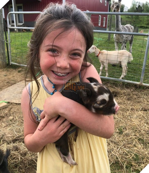 20 hình ảnh cho thấy tình yêu thương không phân biệt giống loài và nó khiến cho bạn cảm thấy hạnh phúc 4