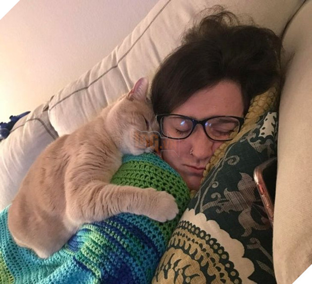 20 hình ảnh cho thấy tình yêu thương không phân biệt giống loài và nó khiến cho bạn cảm thấy hạnh phúc 9