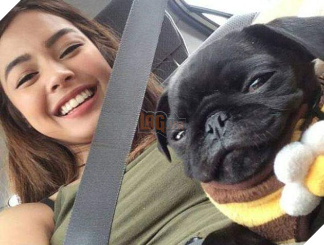 Những hình ảnh hài hước về những bé thú cưng có hành vi vô cùng kỳ lạ khiến bạn phải bật cười 7