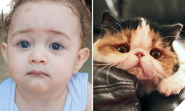 bieu cam cua dong vat giong tre em 10