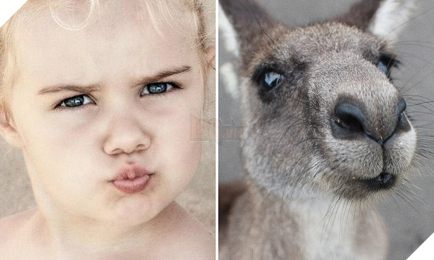 bieu cam cua dong vat giong tre em 11