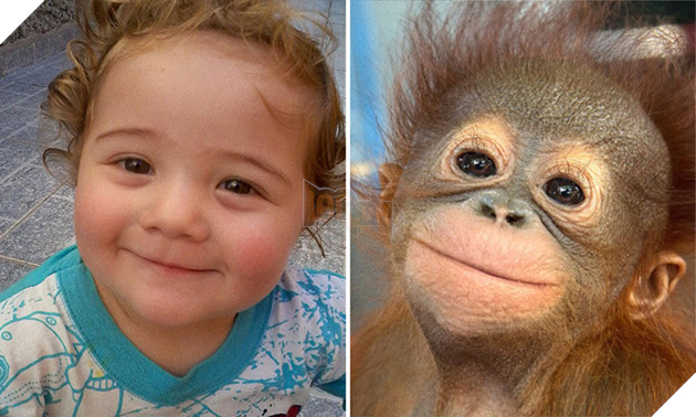 bieu cam cua dong vat giong tre em 14