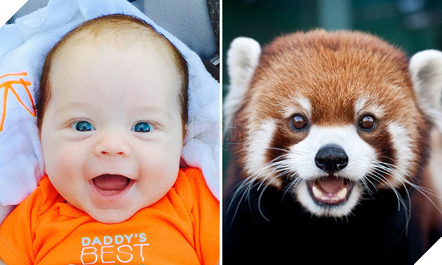 bieu cam cua dong vat giong tre em 15