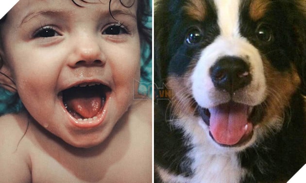 bieu cam cua dong vat giong tre em 1