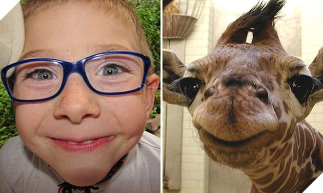 bieu cam cua dong vat giong tre em 2