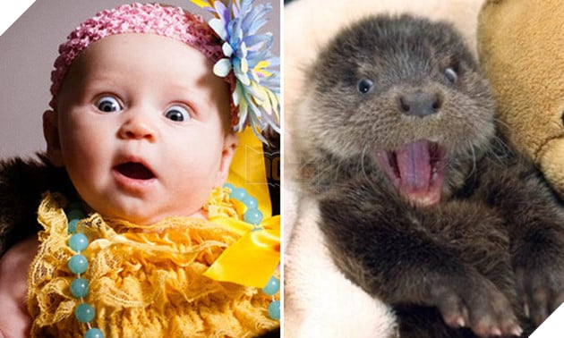 bieu cam cua dong vat giong tre em 3