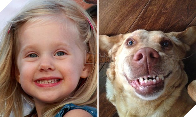 bieu cam cua dong vat giong tre em 5