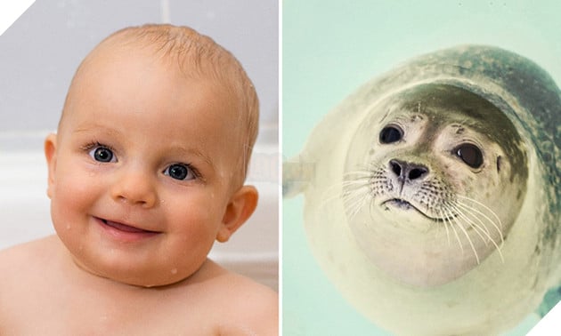 bieu cam cua dong vat giong tre em 6