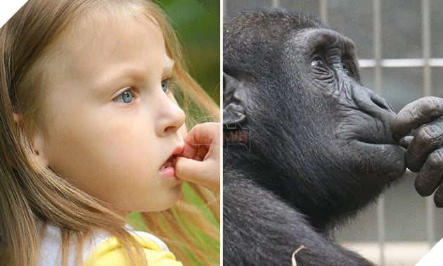 bieu cam cua dong vat giong tre em 7