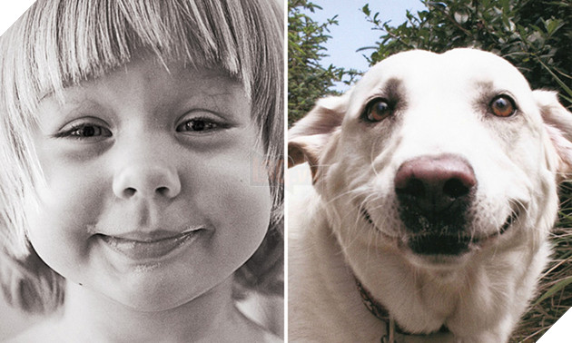 bieu cam cua dong vat giong tre em 9