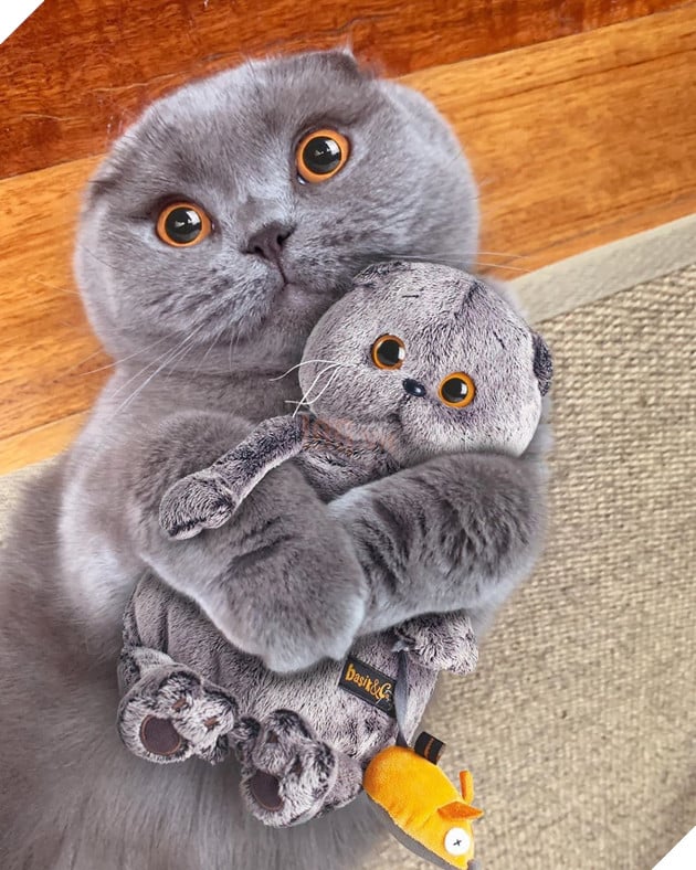 18 hình ảnh chứng minh động vật là nguồn hạnh phúc không thể thiếu đối với con người 6