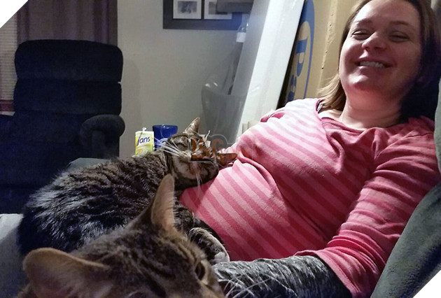 Tổng hợp hình ảnh chó mèo lo lắng khi biết tin sen lớn đang có thai khiến bạn thấy đáng yêu không cưỡng lại được 14