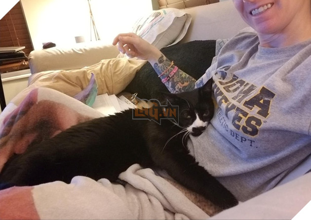 Tổng hợp hình ảnh chó mèo lo lắng khi biết tin sen lớn đang có thai khiến bạn thấy đáng yêu không cưỡng lại được 15