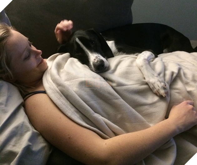 Tổng hợp hình ảnh chó mèo lo lắng khi biết tin sen lớn đang có thai khiến bạn thấy đáng yêu không cưỡng lại được 8