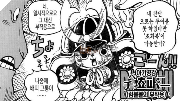 đảo hải tặc 1017