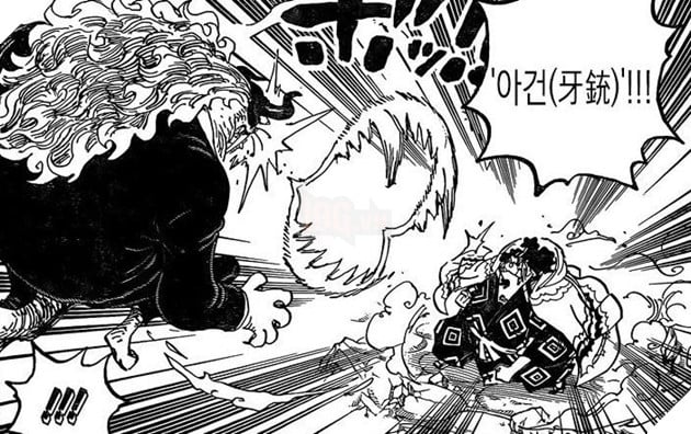 spoiler one piece 1018