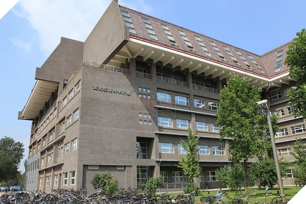 Bị đuổi học vì nghiện game, nam sinh viên comeback hoành tráng với thành tích Thủ Khoa 2