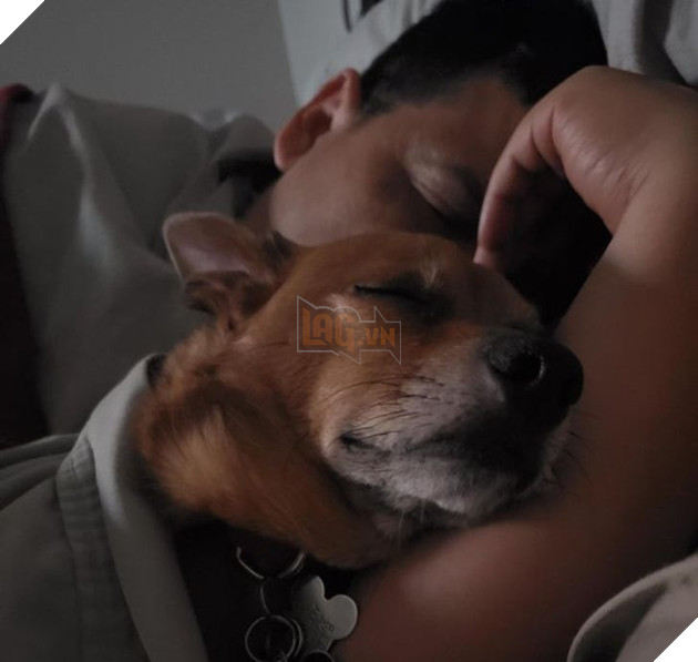 20 người đàn ông miệng lúc nào cũng nói cấm không nuôi chó mèo nhưng lại là người yêu thương chúng nhất gia đình 20