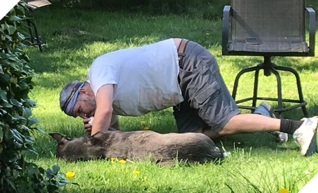 20 người đàn ông miệng lúc nào cũng nói cấm không nuôi chó mèo nhưng lại là người yêu thương chúng nhất gia đình 11