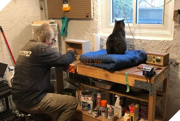 20 người đàn ông miệng lúc nào cũng nói cấm không nuôi chó mèo nhưng lại là người yêu thương chúng nhất gia đình 16