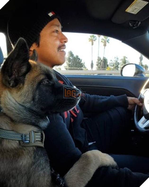 20 người đàn ông miệng lúc nào cũng nói cấm không nuôi chó mèo nhưng lại là người yêu thương chúng nhất gia đình 18