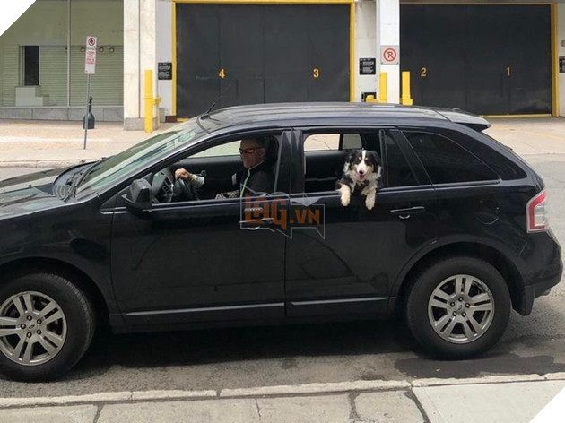 20 người đàn ông miệng lúc nào cũng nói cấm không nuôi chó mèo nhưng lại là người yêu thương chúng nhất gia đình 3