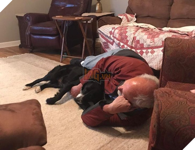 20 người đàn ông miệng lúc nào cũng nói cấm không nuôi chó mèo nhưng lại là người yêu thương chúng nhất gia đình 17