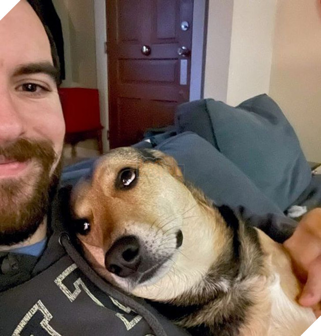 Bộ hình ảnh của những bé chó mèo không thế sống được nếu thiếu sen khiến bạn phải phì cười 23