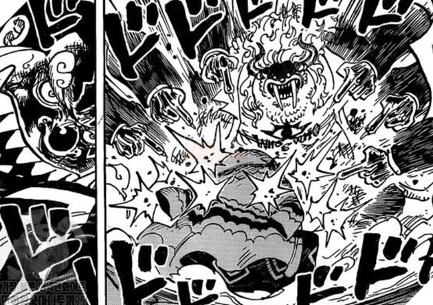 đảo hải tặc 1018