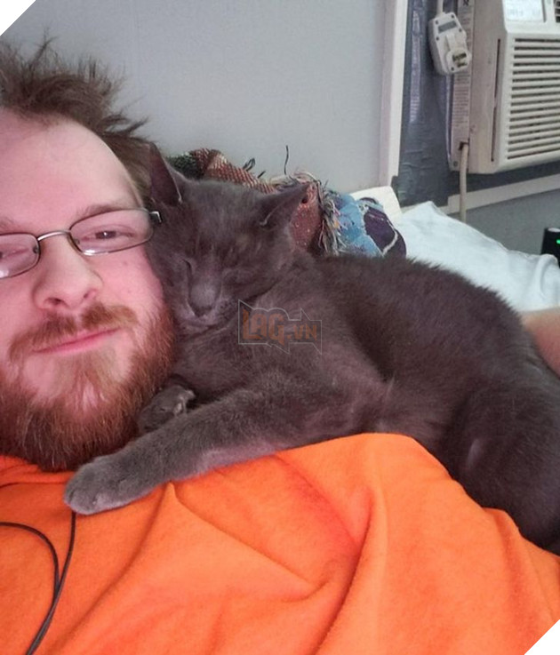 19 hình ảnh các bé chó mèo hoang được nhận nuôi khiến cuộc đời chúng trở nên tốt đẹp và tràn ngập yêu thương 14