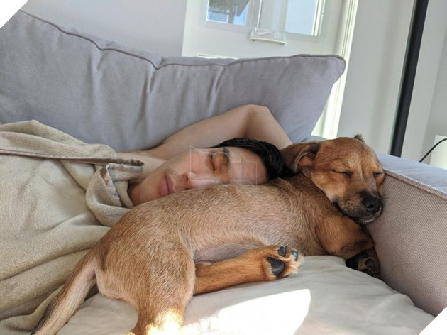 19 hình ảnh các bé chó mèo hoang được nhận nuôi khiến cuộc đời chúng trở nên tốt đẹp và tràn ngập yêu thương 2