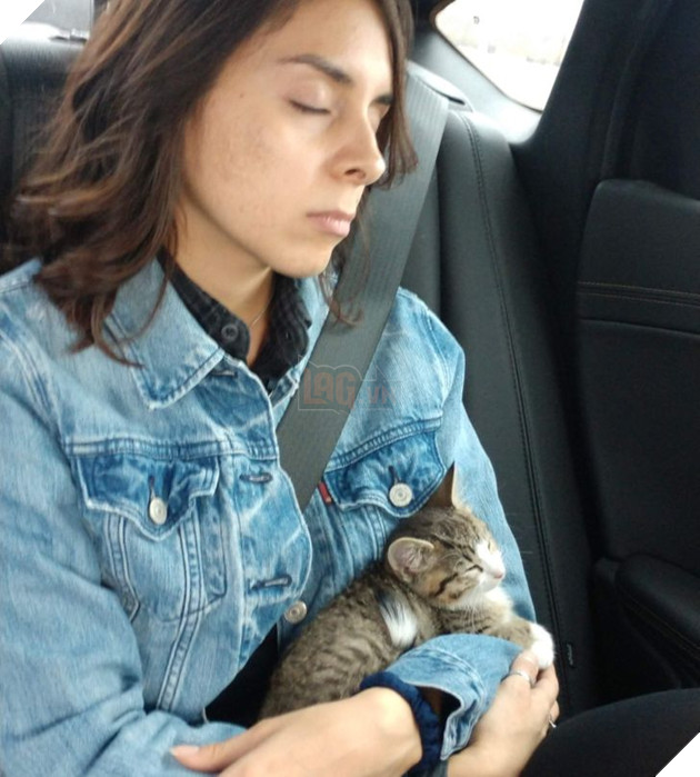 19 hình ảnh các bé chó mèo hoang được nhận nuôi khiến cuộc đời chúng trở nên tốt đẹp và tràn ngập yêu thương 5