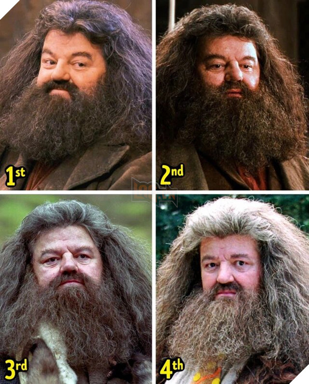 Dàn sao Harry Potter đã thay đổi như thế nào qua từng giai đoạn? P2 