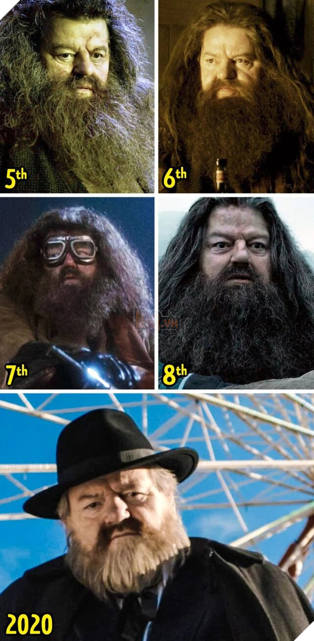 Dàn sao Harry Potter đã thay đổi như thế nào qua từng giai đoạn? P2  2