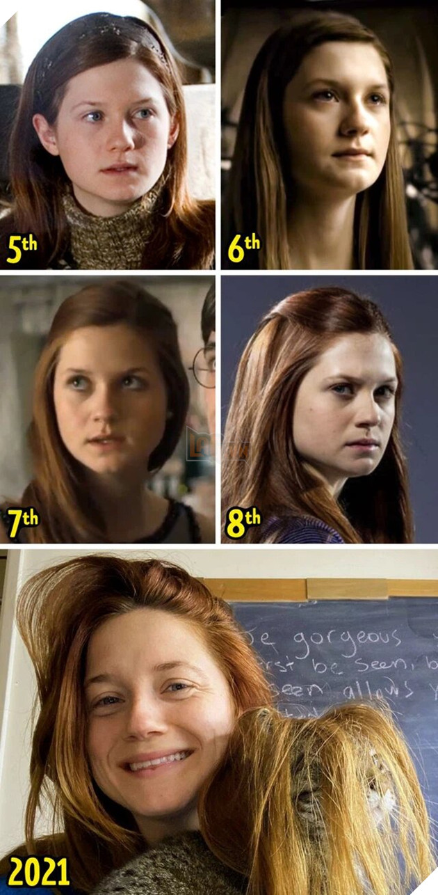 Dàn sao Harry Potter đã thay đổi như thế nào qua từng giai đoạn? P2  6