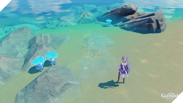 Genshin Impact: Hướng dẫn các vị trí xuất hiện Nấm linh chi biển 2