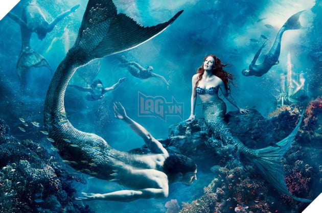 Những điều có thể bạn chưa biết về nghề chuyên hóa thân thành những nàng tiên cá 