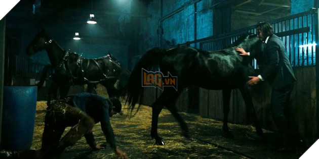 Những pha kết liễu đối thủ hay nhất của John Wick P1  4