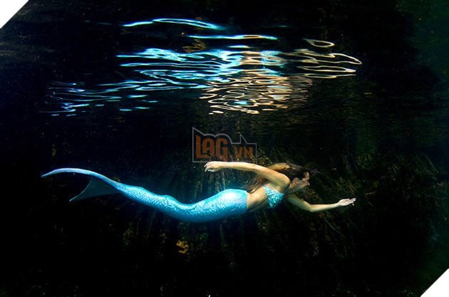 Những điều có thể bạn chưa biết về nghề chuyên hóa thân thành những nàng tiên cá  3