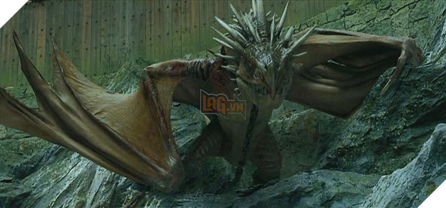 Daniel Radcliffe chia sẻ về phân cảnh thót tim nhất của anh trong phim Harry Potter