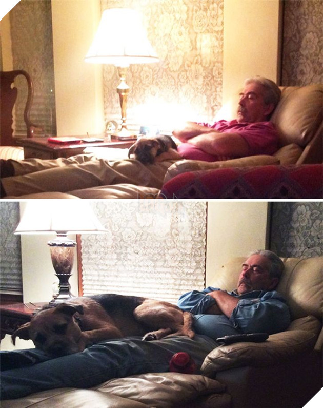 15 hình cho thấy tình yêu thương ngày một bền vững theo thời gian giữa con sen và các bé chó mèo khiến bạn thấy ấm lòng 13