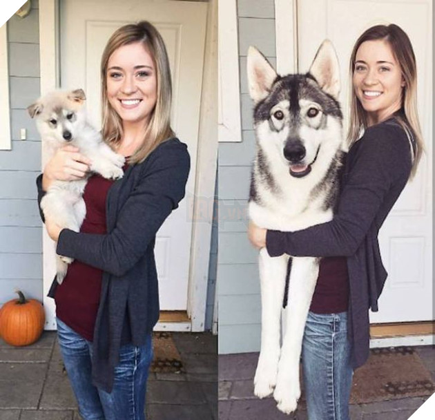 15 hình cho thấy tình yêu thương ngày một bền vững theo thời gian giữa con sen và các bé chó mèo khiến bạn thấy ấm lòng