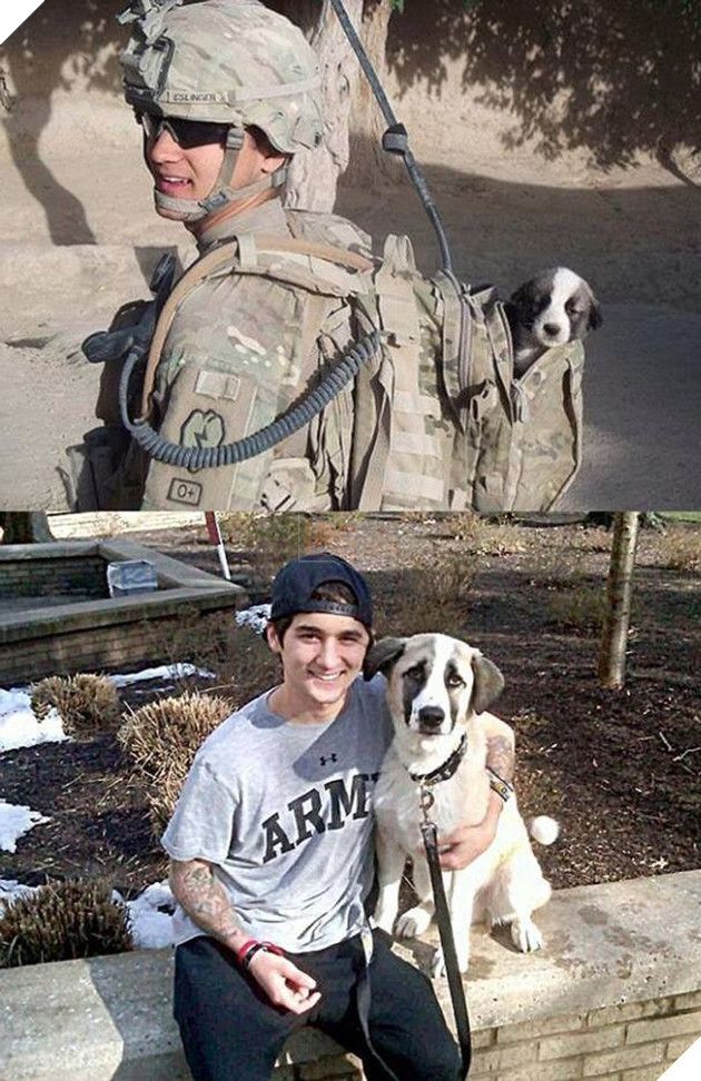 15 hình cho thấy tình yêu thương ngày một bền vững theo thời gian giữa con sen và các bé chó mèo khiến bạn thấy ấm lòng 14