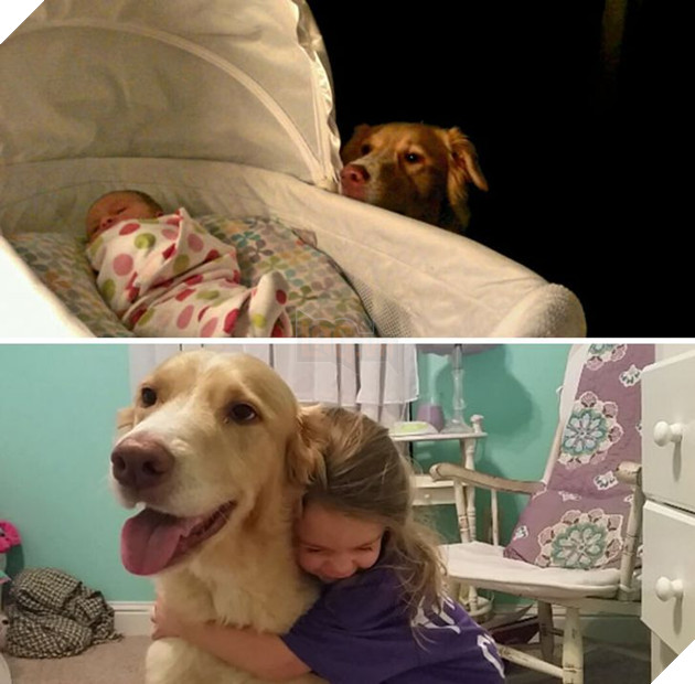 15 hình cho thấy tình yêu thương ngày một bền vững theo thời gian giữa con sen và các bé chó mèo khiến bạn thấy ấm lòng 5